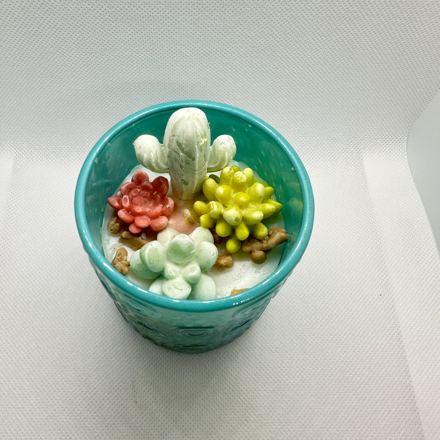 Cactus candle