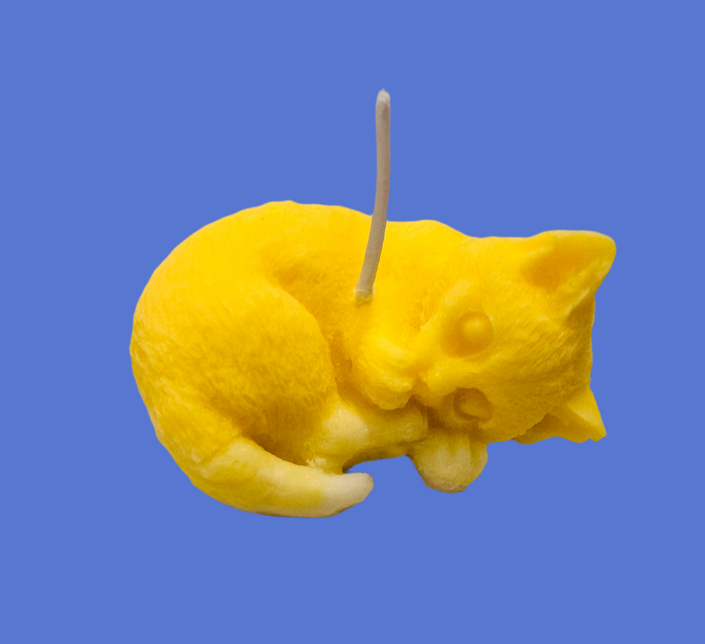 Natural Handmade Soy Wax Cat candles