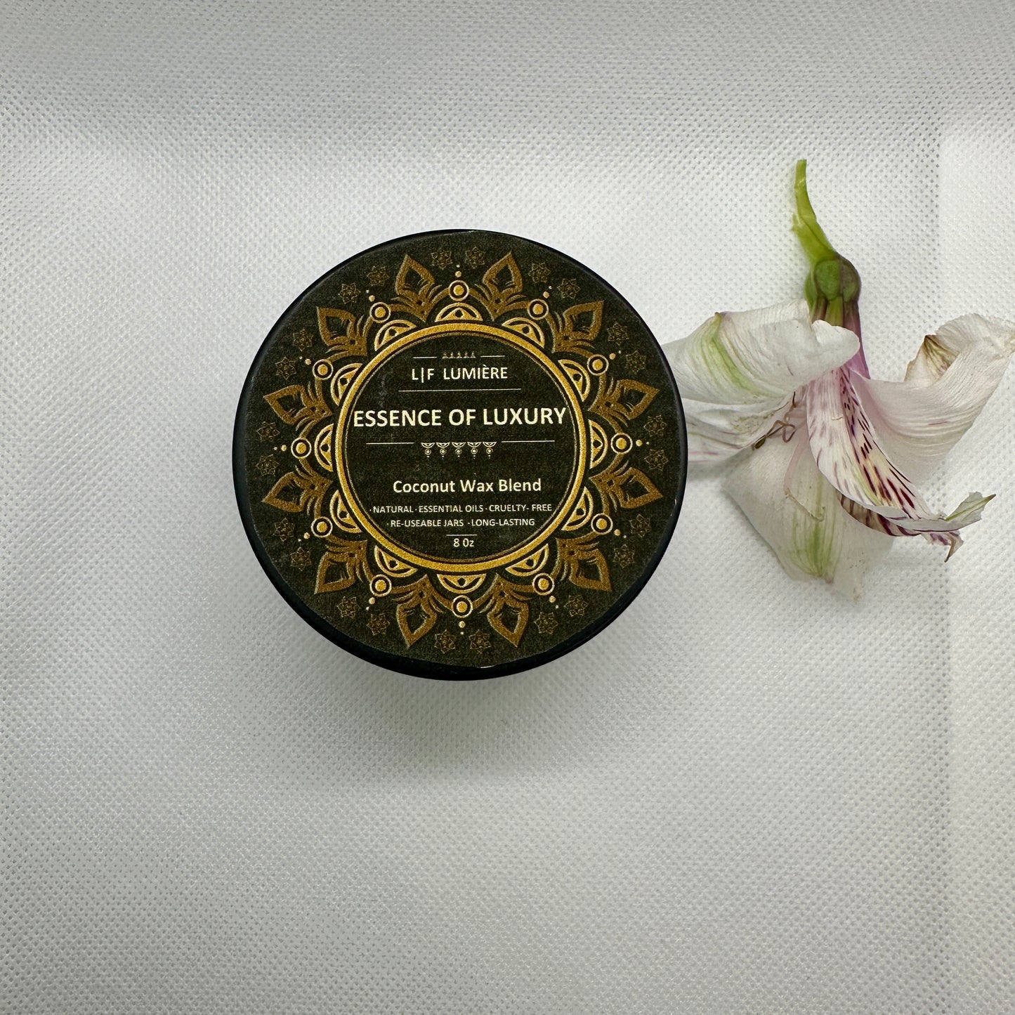 Natural Coconut Blend Wax  Candles